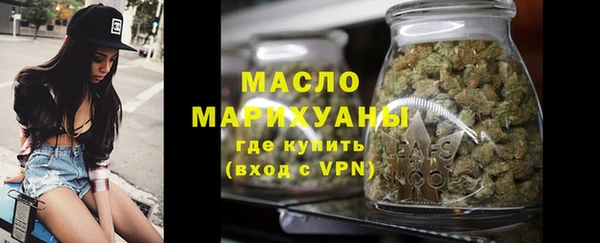 сатива Каменка