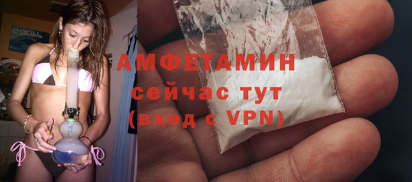 сатива Каменка