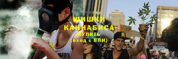 сатива Каменка