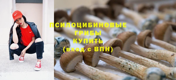 кокс Каменногорск