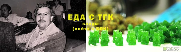 сатива Каменка