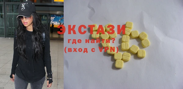 сатива Каменка