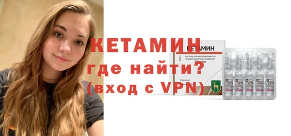 сатива Каменка