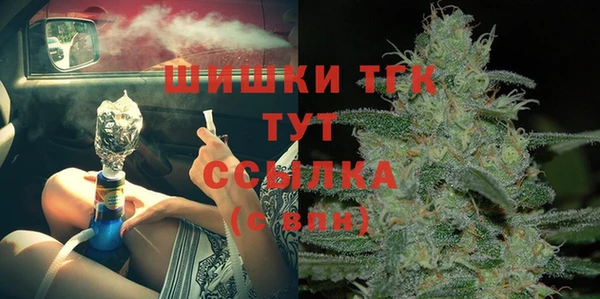 сатива Каменка