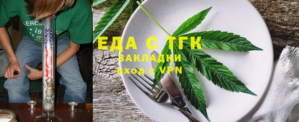 сатива Каменка