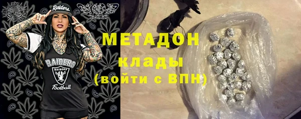 сатива Каменка