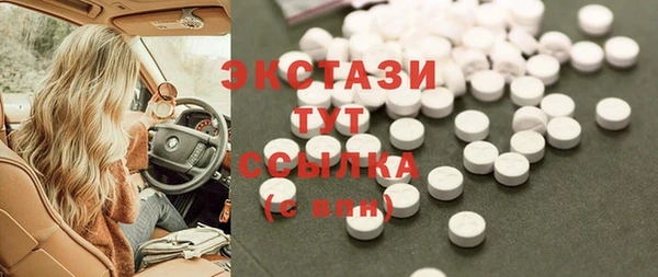сатива Каменка