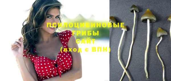 сатива Каменка