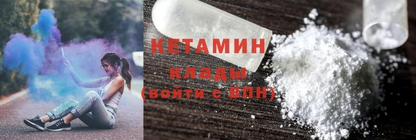 сатива Каменка