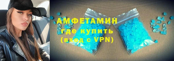 сатива Каменка